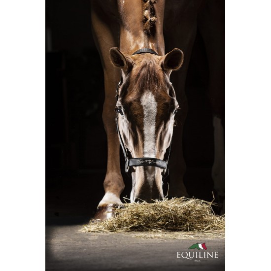 Capezza Equiline Timmy regolabile in polipropilene con morbida imbottitura in Neoprene. 