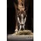 Capezza Equiline Timmy regolabile in polipropilene con morbida imbottitura in Neoprene. 