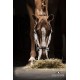 Capezza Equiline Timmy regolabile in polipropilene con morbida imbottitura in Neoprene. 