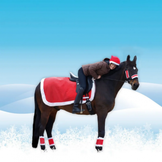 SET NATALIZIO PER CAVALLO !!!