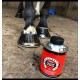 HOOF BARRIER CORNUCRESCINE CARR & DAY & MARTIN 500 Ml. CURA E PROTEZIONE DELLO ZOCCOLO DEL  CAVALLO 