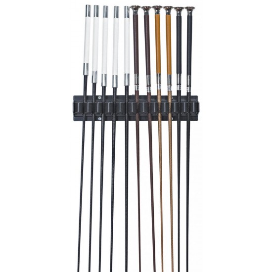 PORTAFRUSTE e PORTAFRUSTINI CAVALLI 11 FRUSTINI