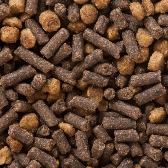 Mangime alimento Cortal LEVEL UP cavalli con tendenza a problemi muscolari Aspetto: PELLET+CROCCHETTA Confezione: Sacco da 25 kg PER ACQUISTO SUPERIORE AI DUE SACCHI INVIARE UNA MAIL CON QUANTITA, INDIRIZZO SPECIFICO E UN NUMERO DI TELEFONO