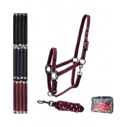 CAVEZZA PER CAVALLO E LUNGHINA IN NYLON PROFILI ARGENTO