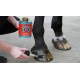 HOOF DRESSING CARR & DAY & MARTIN 500 ML. cura dello zoccolo del cavallo