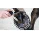 Vanner & prest hoof oil - olio per zoccoli per cavalli Carr&Day&Martin 500 ML.