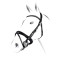 TESTIERA EQUESTRO MODELLO CRANK n cuoio italiano di alta qualità con fibbie in acciaio inox per renderla ancora più resistente. Frontalino decorato con brillantini incastonati 