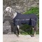 COPERTA IN COTONE PER CAVALLO REYNOSA Equiline box 