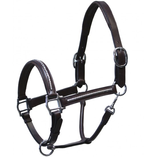 CAPEZZA PER CAVALLO EQUITAZIONE IN CUOIO WINNER E FIBBIE CROMATE