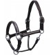 CAPEZZA PER CAVALLO EQUITAZIONE IN CUOIO WINNER E FIBBIE CROMATE