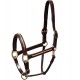 CAPEZZA PER CAVALLO EQUITAZIONE IN CUOIO WINNER E FIBBIE CROMATE