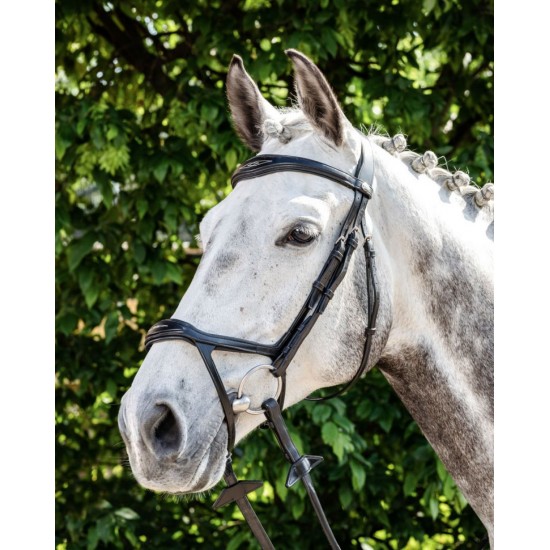 TESTIERA PER CAVALLO PRESTIGE DOUBLE DROP
