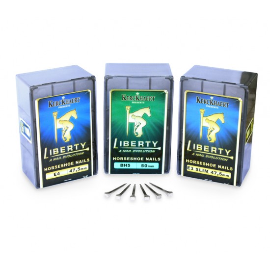 Chiodi per ferrare Liberty JC1 500 pezzi 48mm