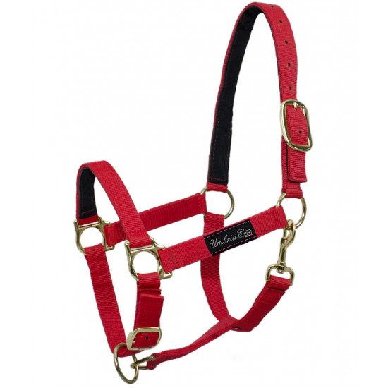 Cavezza per cavallo in nylon doppio con rinforzo in pelle doppia regolazione