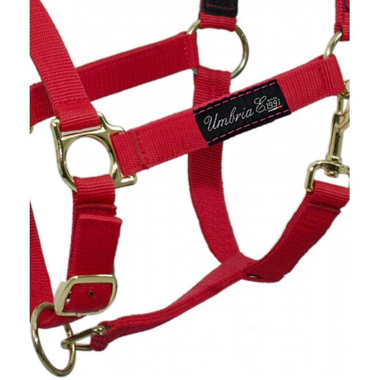 Cavezza per cavallo in nylon doppio con rinforzo in pelle doppia regolazione