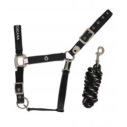 Cavezza per cavallo con lunghina Cavalleria Toscana by FISE