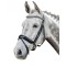 Testiera in cuoio PRESTIGE da filetto per dressage 