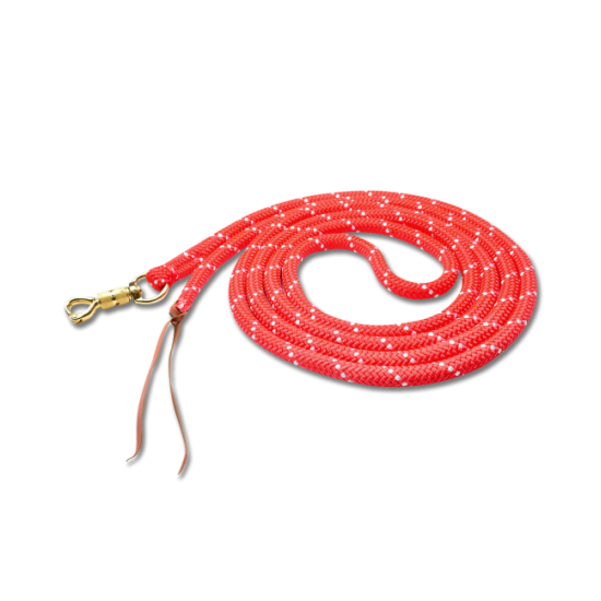 CORDA  PER CAVALLI PER IL LAVORO A TERRA, CA. 4,2 M