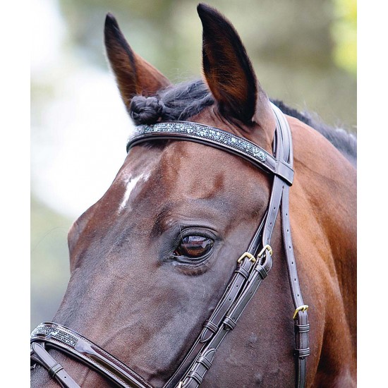 TESTIERA PER CAVALLO CON REDIINI TATTINI CON STRASS  briglie