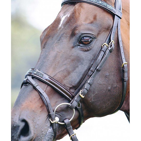 TESTIERA PER CAVALLO CON REDIINI TATTINI CON STRASS  briglie