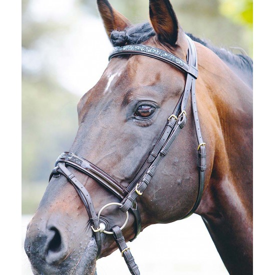 TESTIERA PER CAVALLO CON REDIINI TATTINI CON STRASS  briglie