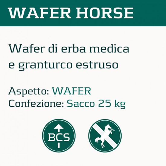 Mangime alimento per cavalli Cortal wafer horse Wafer di erba medica e granturco estruso Aspetto: WAFER  Confezione: Sacco da 25 kg PER ACQUISTO SUPERIORE AI DUE SACCHI INVIARE UNA MAIL CON QUANTITA, INDIRIZZO SPECIFICO E UN NUMERO TI TELEFONO