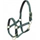 Cavezza per cavallo in nylon doppio con rinforzo in pelle doppia regolazione