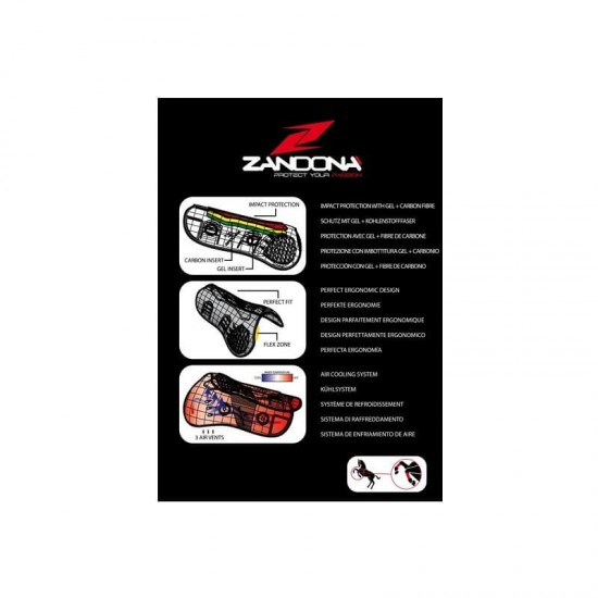 Zandona' Paratendini carbon air Sensitive + PROTEZIONI ANTERIORI MONTA INGLESE PER CAVALLO CON AGNELLO 